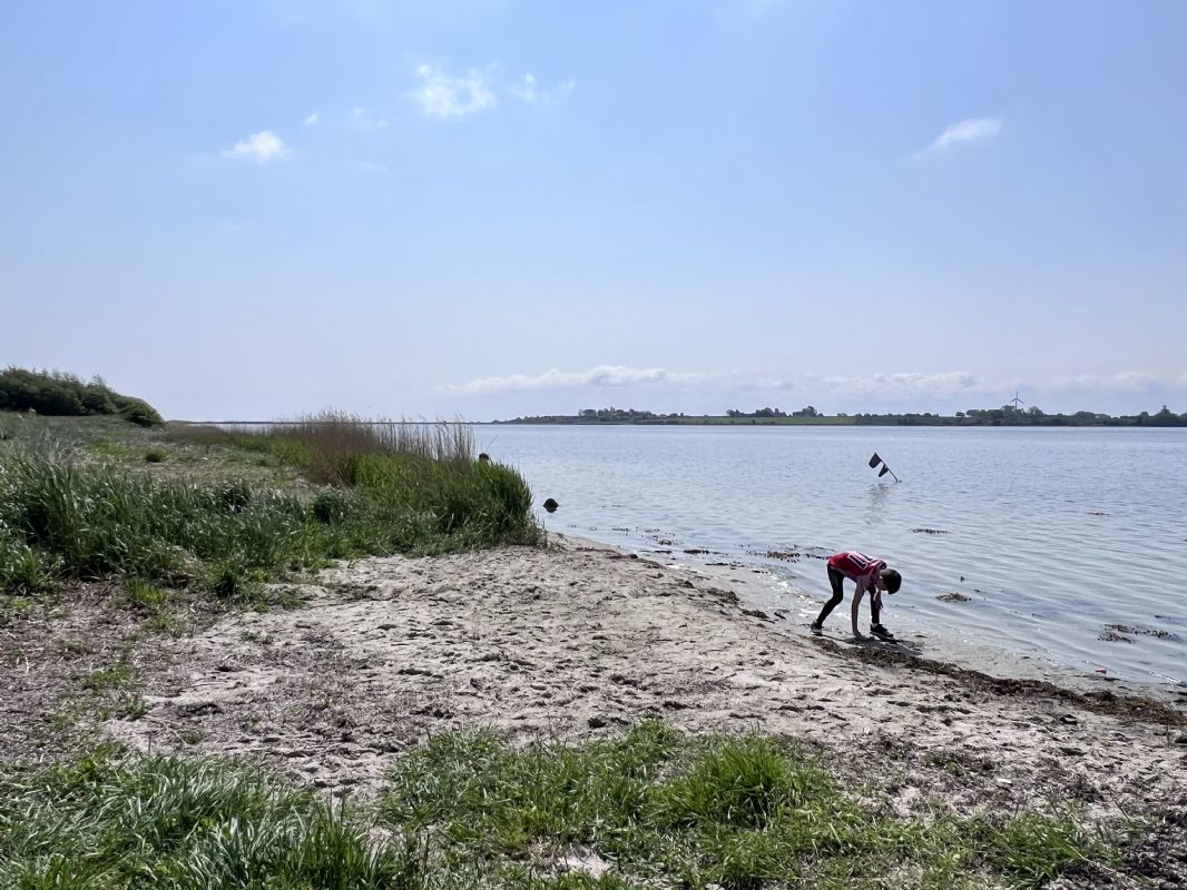 Skovby sommerhus med havudsigt